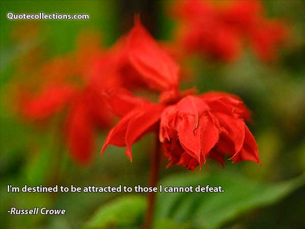 Russell Crowe Quotes3
